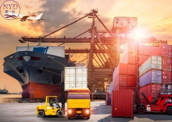 International Sea Freight Shipping Flexible Solutions To UAE