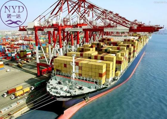 International FCL Sea Freight Cargo Delivery Services Global Shipping Agency