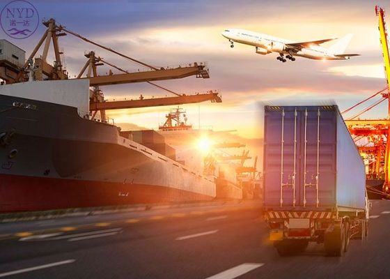 International Sea Freight Shipping Flexible Solutions To UAE