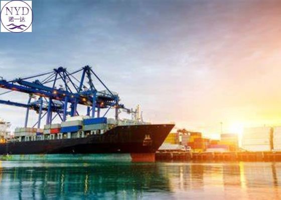DDP DDU International Ocean Freight Forwarder Global Port To Port Delivery