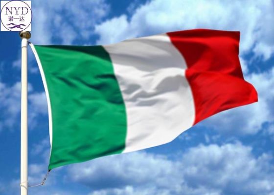 Spedizione marittima DDP DDU dalla Cina all'Italia Spedizione internazionale